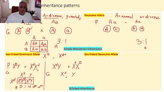 GeneticsL4Complex Mendelian Inheritance [upl. by Noroj]