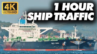 Ship Spotting amp Relax Music  1 Hour Bosphorus Marine Traffic [upl. by Nwahshar219]