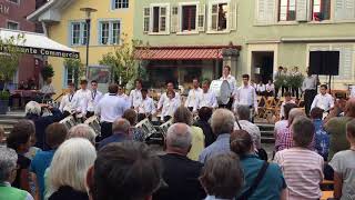 Jugendfest Brugg 2018  Konzert der Jugendmusik beim Erdbeeribrunnen [upl. by Narhet]