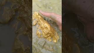 gold mining in a long uninhabited flowing river goldhunter miner [upl. by Eniroc]