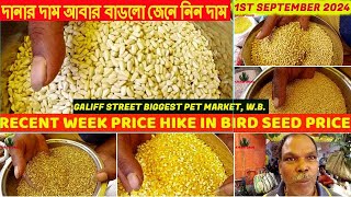 পাখির দানার দাম আবার বাড়লো জেনে নিন দাম  Galiff Street Pet Market Kolkata W Bengal 1st Sep 2024 [upl. by Atinehs]