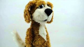 Professional Puppet custom built dog puppet by Lunas Puppets [upl. by Atsugua]