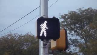 LED Countdown Walk Signal In New Jersey [upl. by Llerot]