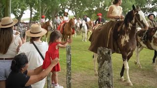 Argentines celebrate Tradition Day showcasing the gaucho culture [upl. by Cho]