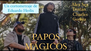 Papos Mágicos Cortometraje Eduardo Herlis [upl. by Oiligriv]