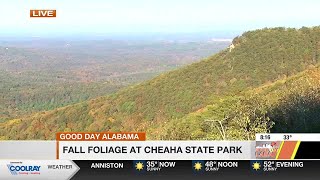 Fall foliage at Cheaha State Park [upl. by Yalahs]