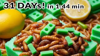 31 Days of Mealworms Eating in 144 Minutes Mealworms vs Sour Lemon Fish Oil and Foam Plastic [upl. by Terrye]