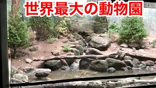 アメリカにある世界最大の動物園、ブロンクス動物園の展示が凄過ぎた・・・！ [upl. by Adaline]