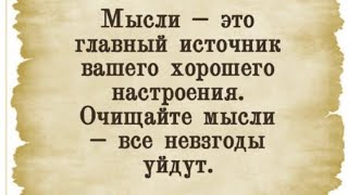 ✅Мысли  это главный источник вашего хорошего настроения…191124 [upl. by Mellette46]