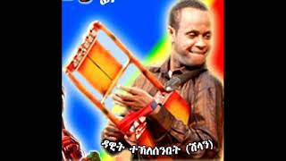 Dawit Shilan Eritrea music Nguse [upl. by Andree]