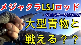 メジャークラフト ク ロステージCRX 964LSJ どの大きさまで釣れるのか？ 2年投げ続けた上での実釣インプレ ライトショアジギングのパックロッド [upl. by Akihc866]