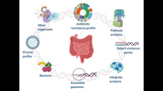 Microbiota vs microbiome [upl. by Esiuqcaj]