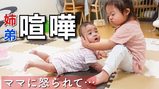 【バトル勃発】やりすぎ…1歳弟とダウン症4歳姉の距離感が難しい [upl. by Wordoow]