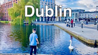 Dublin Ireland October 2024 4K Autumn Walk  Grand Canal Dublin Rathmines UHD City Walk [upl. by Anawat765]