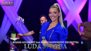 BOJANA GOLUBOVIĆ feat BORKO RADIVOJEVIĆ ORCHESTRA  LUDA SVADBA [upl. by Riamo]