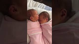 Newborn twins baby love [upl. by Iain792]