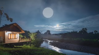 Relaxing Piano Music and Night Nature Sounds with Crickets Sleep Music Stress Relief Fall Asleep [upl. by Eikcir48]