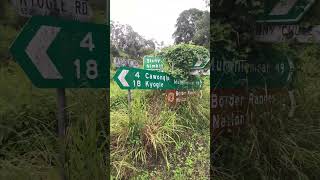 The Sound of Australian Bellbirds Calling near an Overgrown Road Sign [upl. by Annoval]