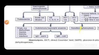 Classification and Laboratory assessment of anemia part 2 [upl. by Rotceh]