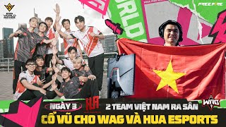 WAG CÂN 3 TEAM THAILAN  2 TOP 1 TẠI VÒNG BẢNG CHUNG KẾT FREE FIRE THẾ GIỚI BRAZILL 2024 [upl. by Nonnaihr]