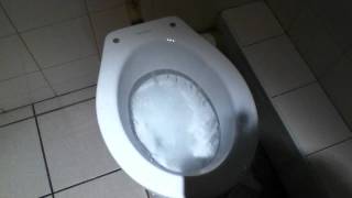 Powerful VilleroyampBosh toilet on Flushometer [upl. by Delanos703]