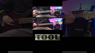 TOOL  Stinkfist  Guitar and Bass Cover 1 [upl. by Rhianon755]