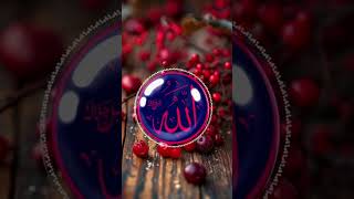 Noor Wala Aaya Hai🤲❤️🤲  Whatsapp Status Full Screen  naat blackscreenstatus [upl. by Terriss]