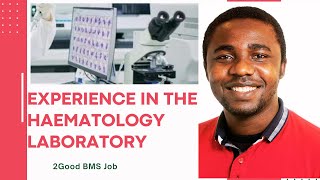 Experience in the Haematology Laboratory II Dr Emmanuel Ogbodo II GoodBMSJobs [upl. by Anaugal]