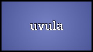 Uvula Meaning [upl. by Eicarg]