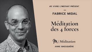 Série méditation “Vivre l’instant présent” 5 Fabrice Midal  Méditation des 4 forces [upl. by Dodson376]