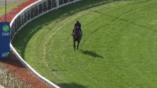 15 October Gallops Gallop 13 [upl. by Wes]