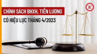 Chính Sách BHXH Tiền Lương Có Hiệu Lực Tháng 42023  THƯ VIỆN PHÁP LUẬT [upl. by Aloap]