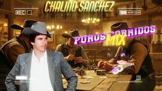 🌟Lo Mejor de Chalino Sanchez Canciones 🌟 [upl. by Ailahk]