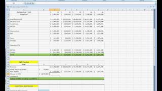 Project Analysis for Capital Budgeting TAP Brew Kitavi [upl. by Lothar34]