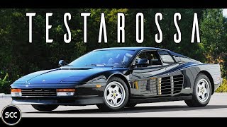 FERRARI TESTAROSSA 1991  Test drive in top gear  FLAT V12 Engine sound  SCC TV [upl. by Nnyltak99]