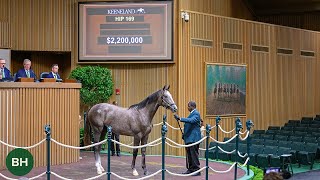 Whisper Hill Farm Secures 22M Gun Runner Colt on Day 1 of Keeneland September [upl. by Huckaby382]