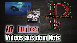 10 kuriose Videos aus dem Netz 1 [upl. by Gosney]