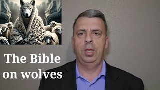 The Bible and Wolves [upl. by Josefa]