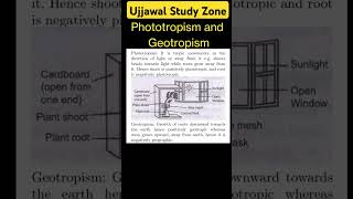 Phototropism and Geotropism ujjawalstudyzone motivation cbse [upl. by Ardnoik]