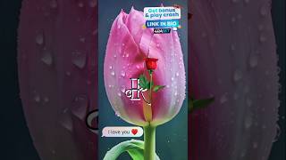 R name whatsaap status videoR name letter videoR name lover status viral trending [upl. by Dal549]