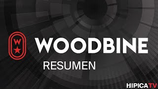 Woodbine Resumen  31 de Agosto 2024 [upl. by Elades]