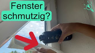 Fenster Schlierenfrei amp Effektiv Putzen Geheimer Trick [upl. by Yrennalf486]