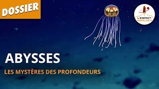 ABYSSES  LES MYSTÈRES DES PROFONDEURS  Dossier 17  LEsprit Sorcier [upl. by Namref607]