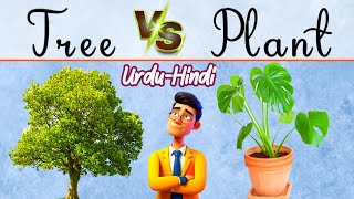 PLANT VERSUS TREE in UrduHindi  WordsPlayingMeDejaVu [upl. by Orodoet209]