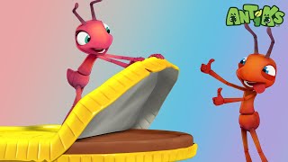 Choco Coin  Antiks 🐜  Funny Cartoons for Kids [upl. by Marquet]