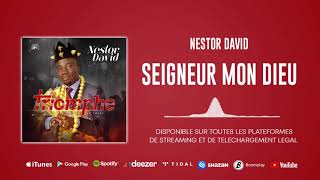 Nestor David  Seigneur Mon Dieu Son Officiel [upl. by Cofsky]