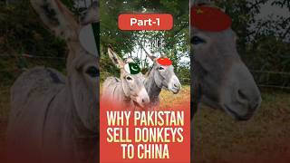 Why Pakistan Exports Donkeys to China The Surprising Truth Revealed PART1shortsvideo trending [upl. by Ingold254]