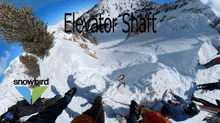 Elevator Shaft Snowbird [upl. by Mcclees]