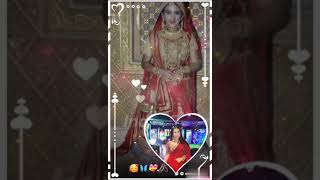 Roshni Walia Faisal Khan ka love story💖stri2 movie song stri2shorts maharanaprata FaisalKhan30 [upl. by Sitnalta]