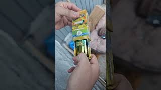 chiefing on a whole melt X fusion streets carts 🛒🫠🌬️🍃 [upl. by Anirual254]